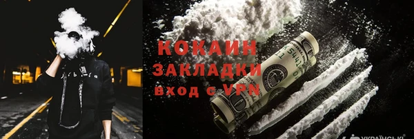 стаф Магас
