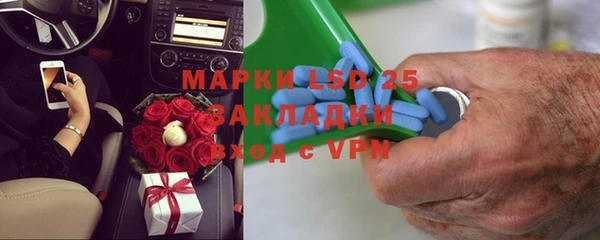 стаф Магас