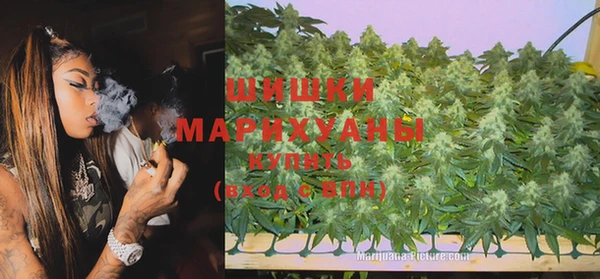 стаф Магас