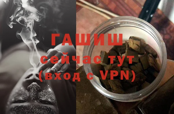 стаф Магас