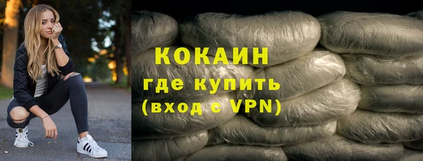 стаф Магас