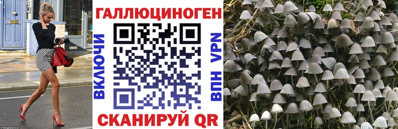 Галлюциногенные грибы MAGIC MUSHROOMS  где купить наркоту  Дегтярск 